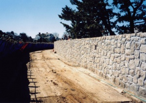 wall_construction1.jpg